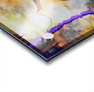 floating on a ravens back Acrylic print