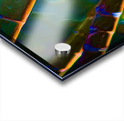 Bamboozled Acrylic print