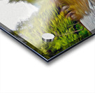 avatar grove balancing act Acrylic print