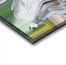 roots heart rocks and a fox Acrylic print