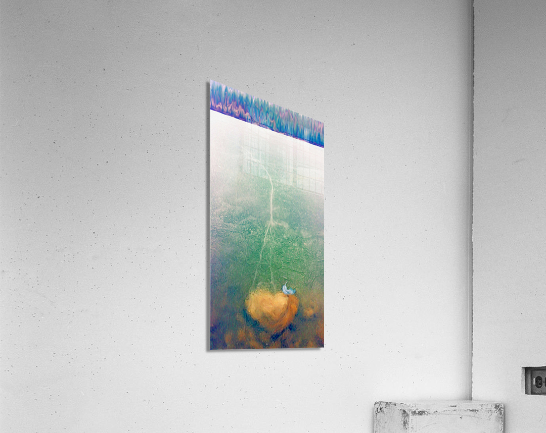 sweet caroline Acrylic Print