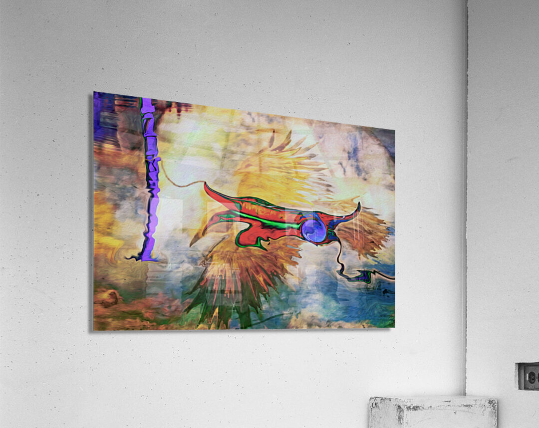 floating on a ravens back Acrylic Print