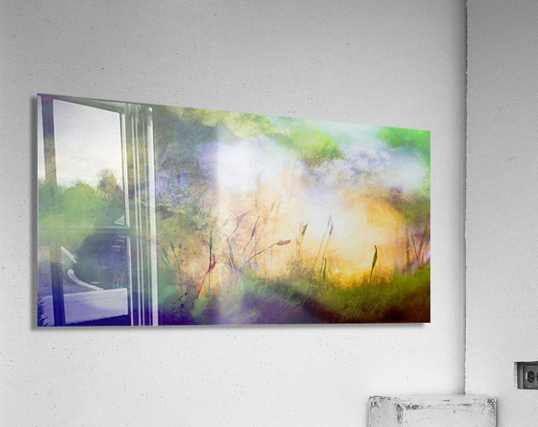 early bird Acrylic Print