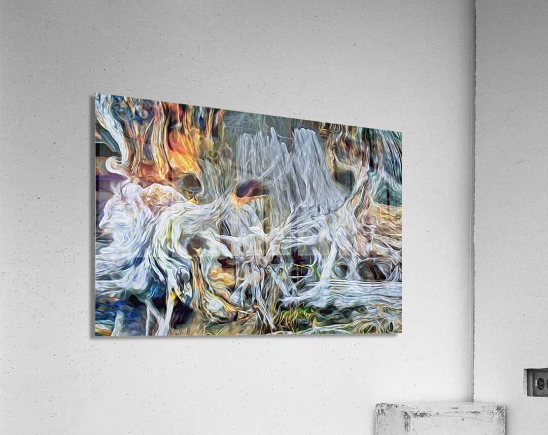 pertrified at low tide Acrylic Print