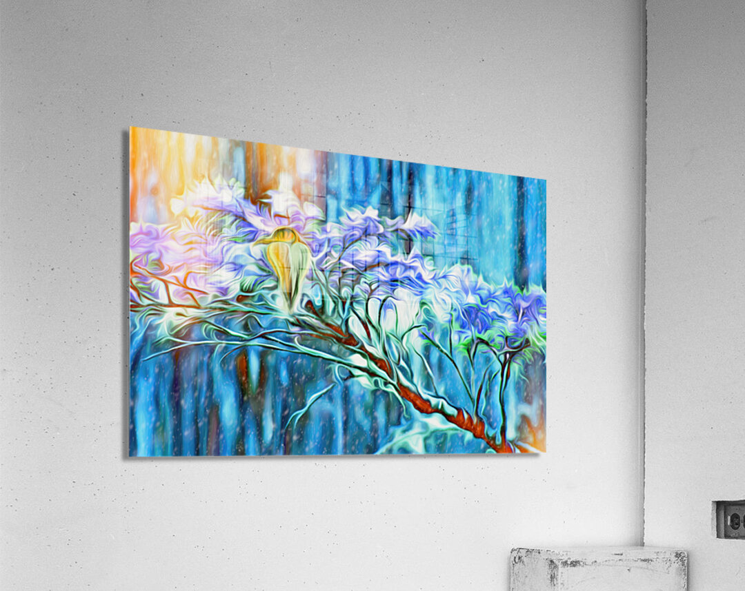 winter moss hawk Acrylic Print