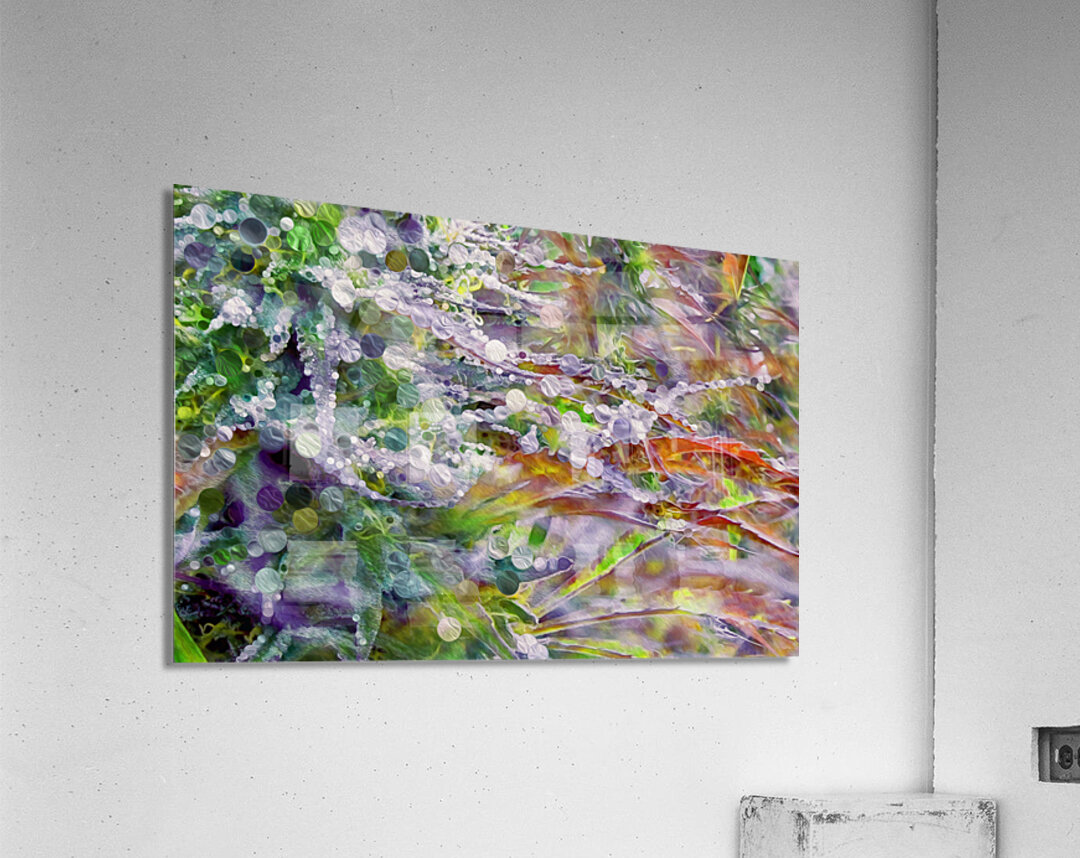 a perfectly sticky siuation Acrylic Print