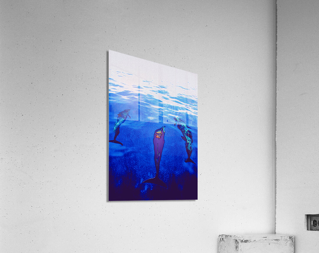 bow pod Acrylic Print