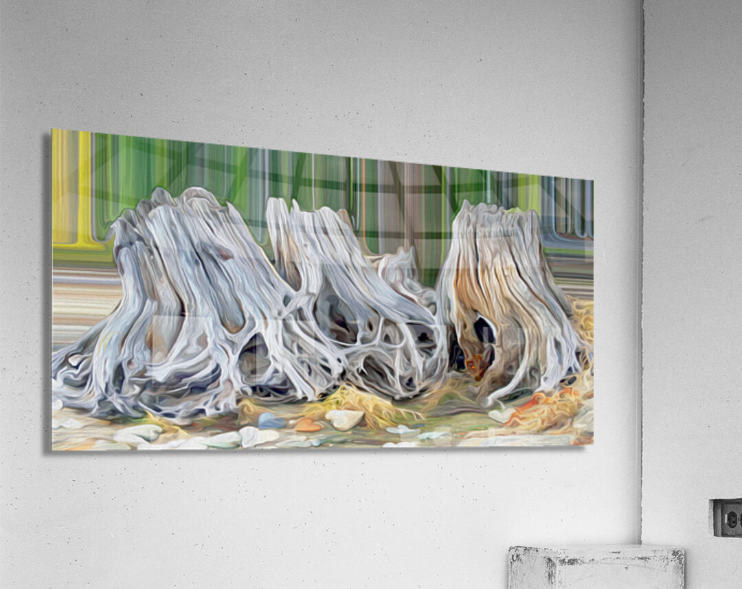 roots heart rocks and a fox Acrylic Print