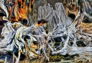 petrified at low tide