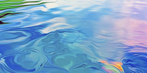 Paws for reflection : panoramic orientation