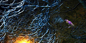 night Caw Cawler : Panoramic Orientation