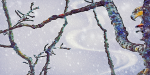 beakaboo panoramic orientation