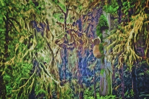 warm and fuzzy aBearitions