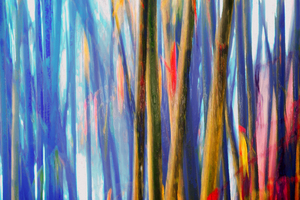 true blue bambooster