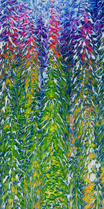 presimmon cardigan coniferous sunrise 