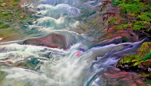 rapid heart hydrology