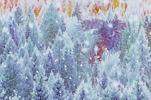 terra ratta dawn patrol