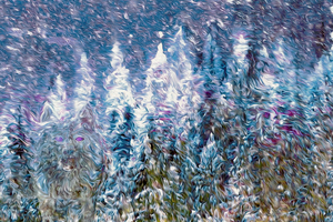 the howl of hidden pleasures