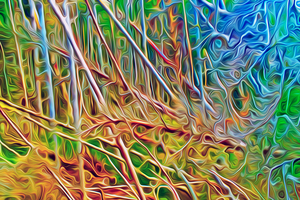 where the wild thigs are