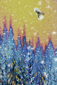 whiskey jacked sunrise