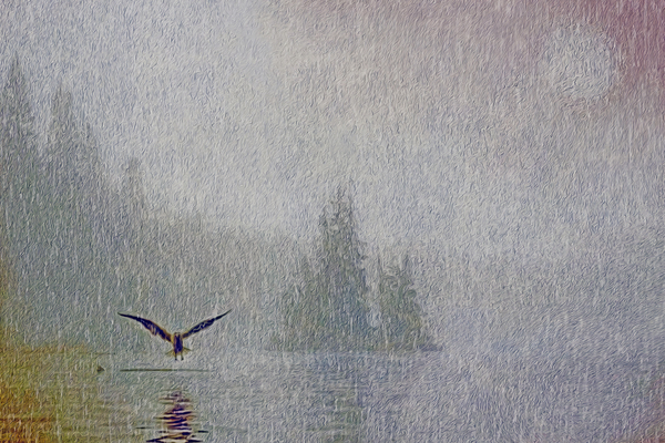 a lullible gulliby by shawn morris creative