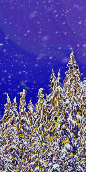  day turns to night by shawn morris creative