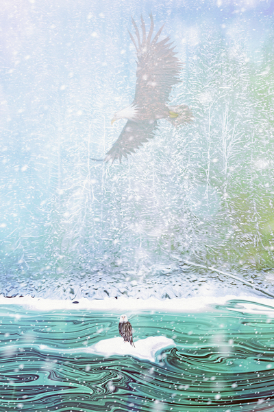 watching from above by shawn morris creative