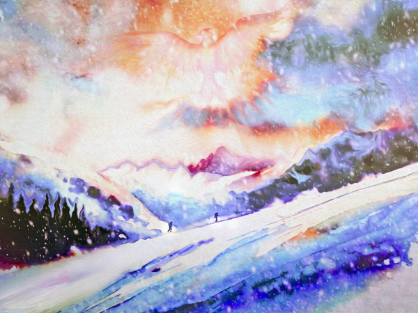 pheonix fantastico sunrise  by shawn morris creative