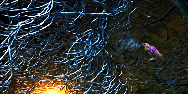 night Caw Cawler : Panoramic Orientation by shawn morris creative