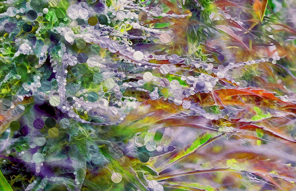 a perfectly sticky siuation by shawn morris creative