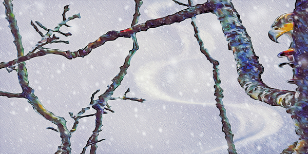 beakaboo panoramic orientation by shawn morris creative