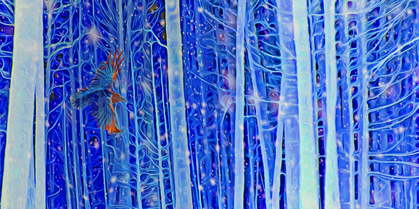 cold burn by shawn morris creative