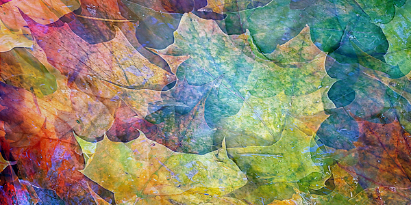 september super natural by shawn morris creative