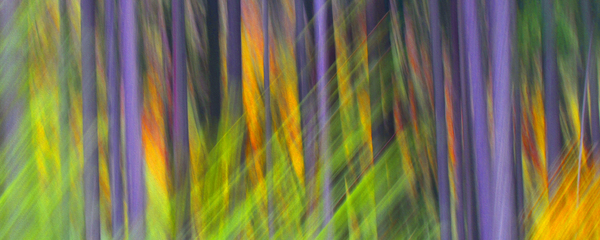 fired up by shawn morris creative