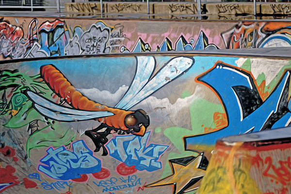 hastings bowl fly by shawn morris creative