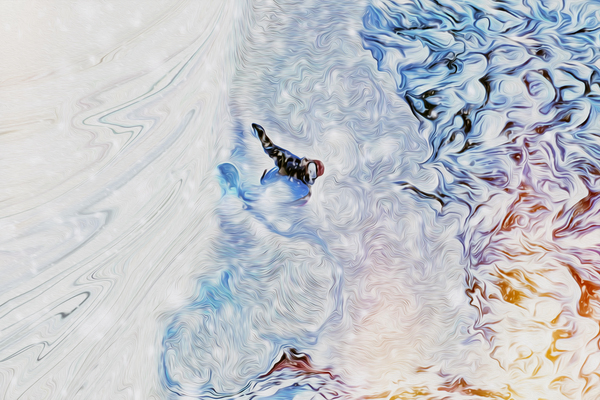 high noon heart plumes by shawn morris creative