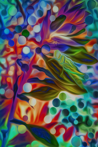 jimminy fractles by shawn morris creative