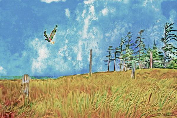 left coast poetry by shawn morris creative