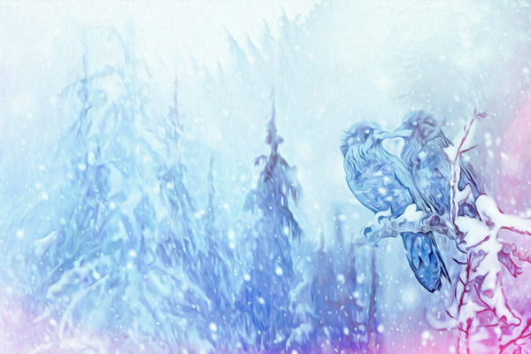 love birds by shawn morris creative