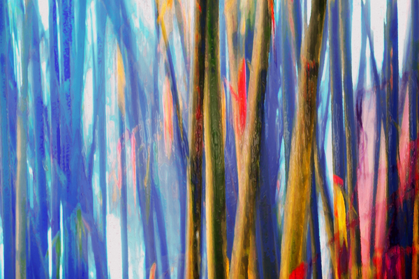 true blue bambooster by shawn morris creative