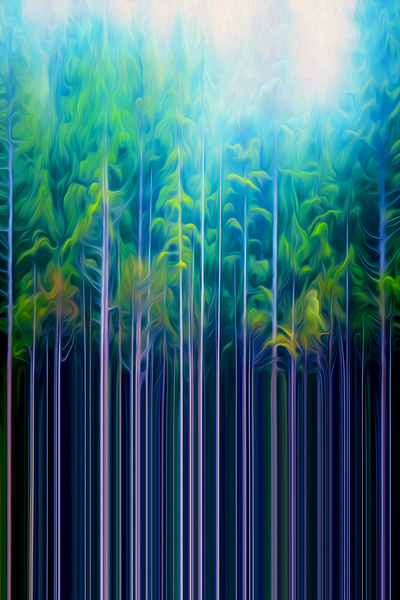 perfect perch by shawn morris creative