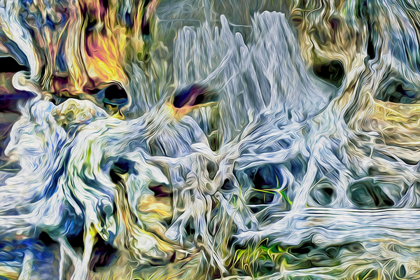 pertrified at low tide by shawn morris creative