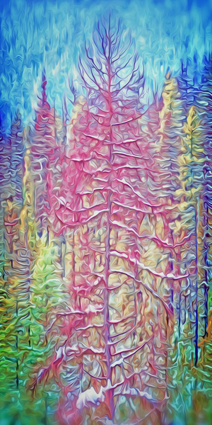 pink spring chinook by shawn morris creative