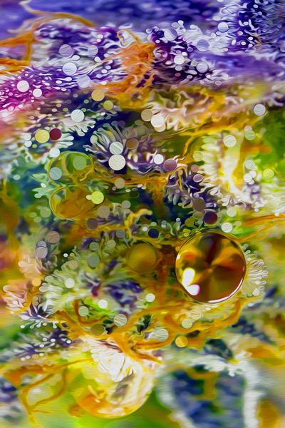 pumping up the jam by shawn morris creative