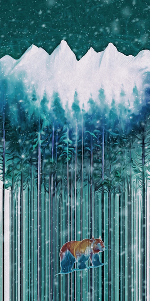 seeking higher ground by shawn morris creative