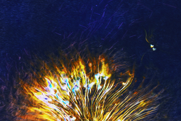 sparks and hearts rising by shawn morris creative