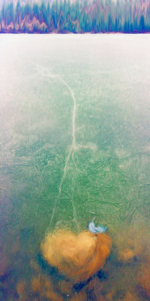 sweet caroline by shawn morris creative