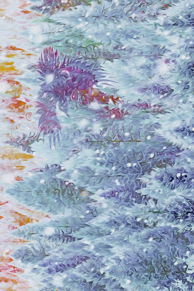 terra ratta dawn patrol by shawn morris creative