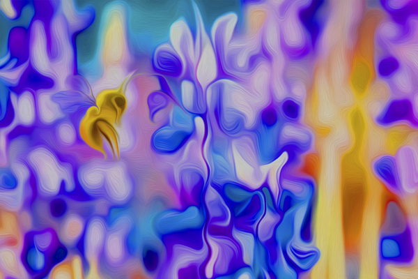 welcome by shawn morris creative