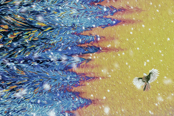 whiskey jacked sunrise by shawn morris creative